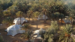 A desert landscape with multiple white tents and palm trees.