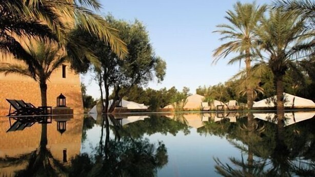 A serene pool area with palm trees and a building reflecting in the water.