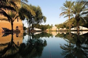 A serene pool area with palm trees and a building reflecting in the water. - Campement Yadis Ksar Ghilane (Douz Sud)