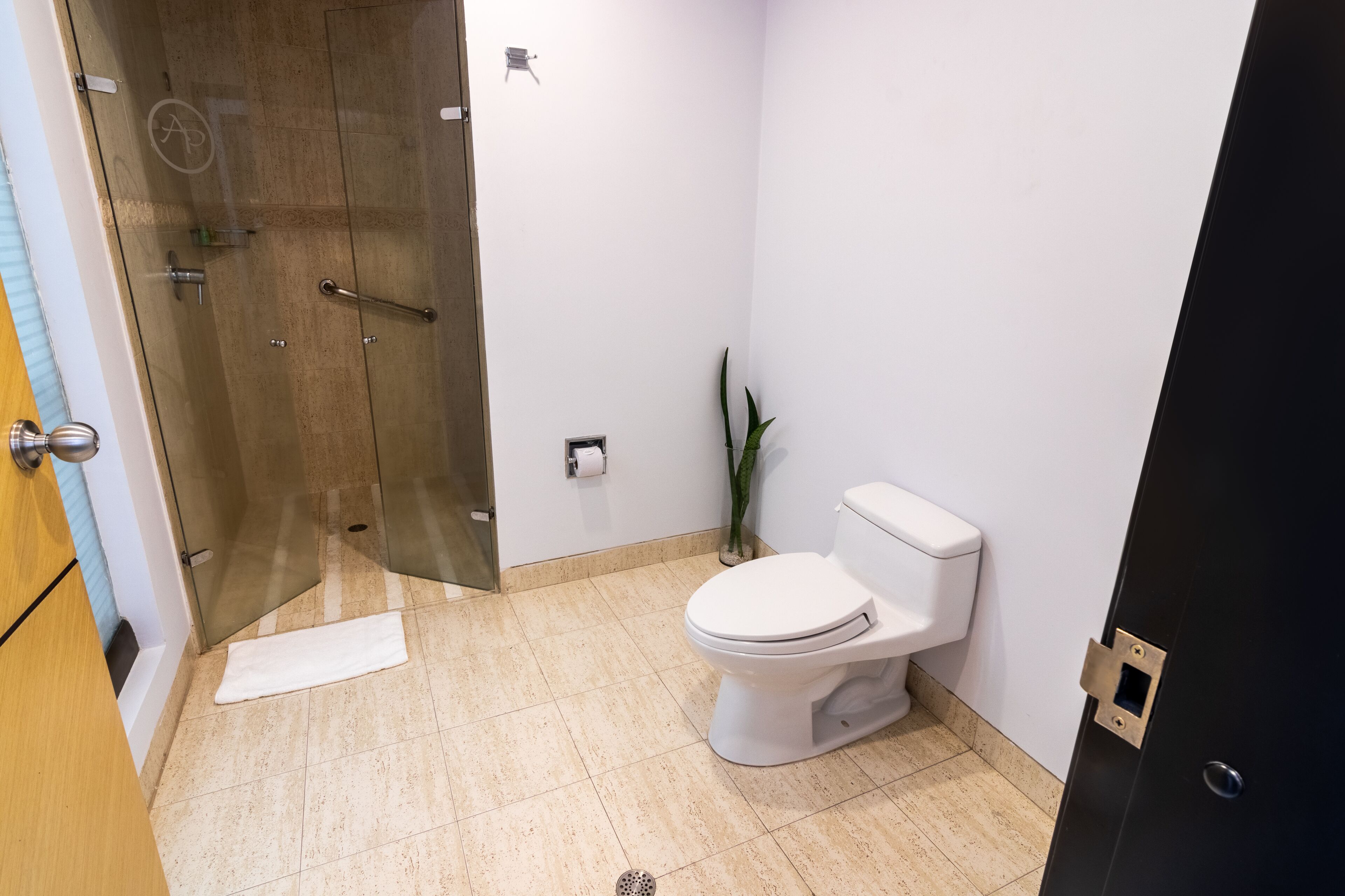 Ein Badezimmer mit Duschkabine aus Glas, einer weißen Toilette und einem kleinen Topfpflanzen.