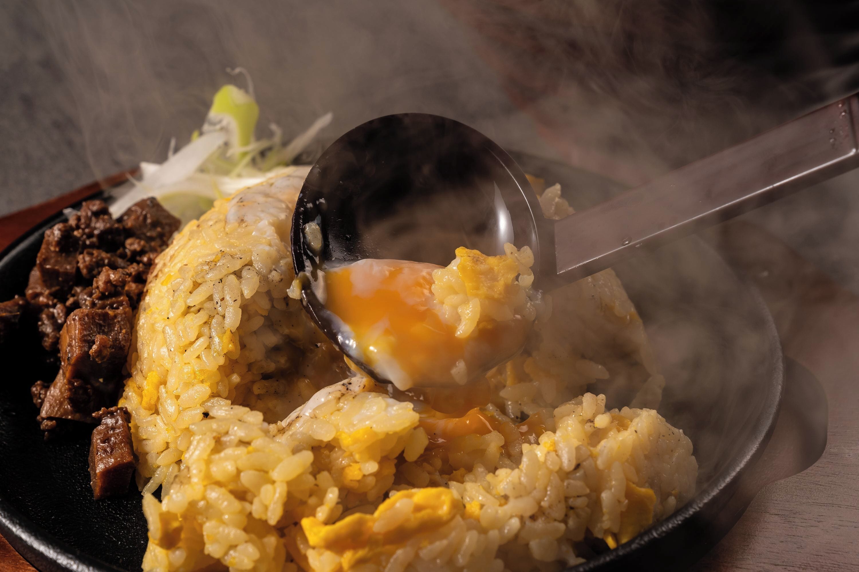Une vue rapprochée d’un plat composé de riz, d’œufs et de viande.