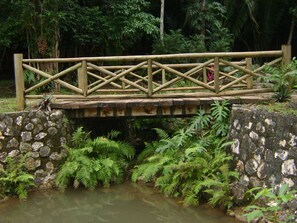 A wooden bridge over a small stream with ferns and a stone wall on either side.