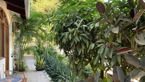 A garden with various plants and a seating area with a table and chairs.