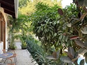 Exterior - Hotel Flores - Adults Only (Tamarindo)