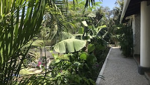 A garden with various plants and a pathway.