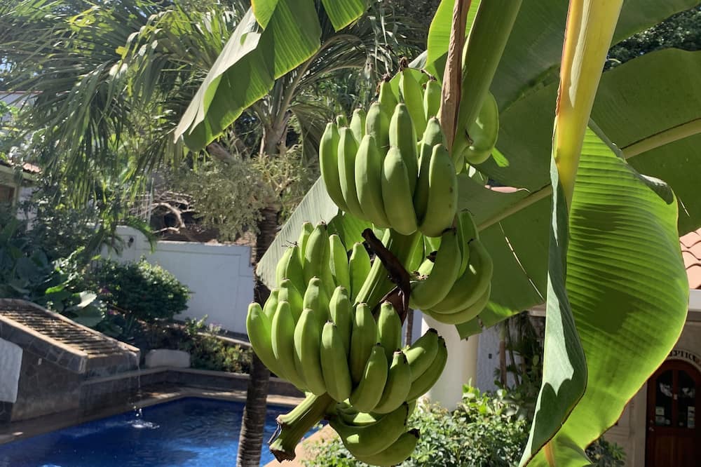 Hotel Flores - Adults Only