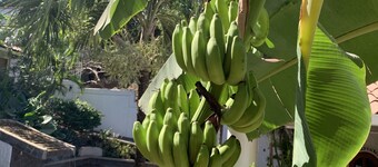 Hotel Flores - Adults Only