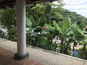 Standard Apartment, 1 King Bed | Terrace/patio - Hotel Flores - Adults Only (Tamarindo)