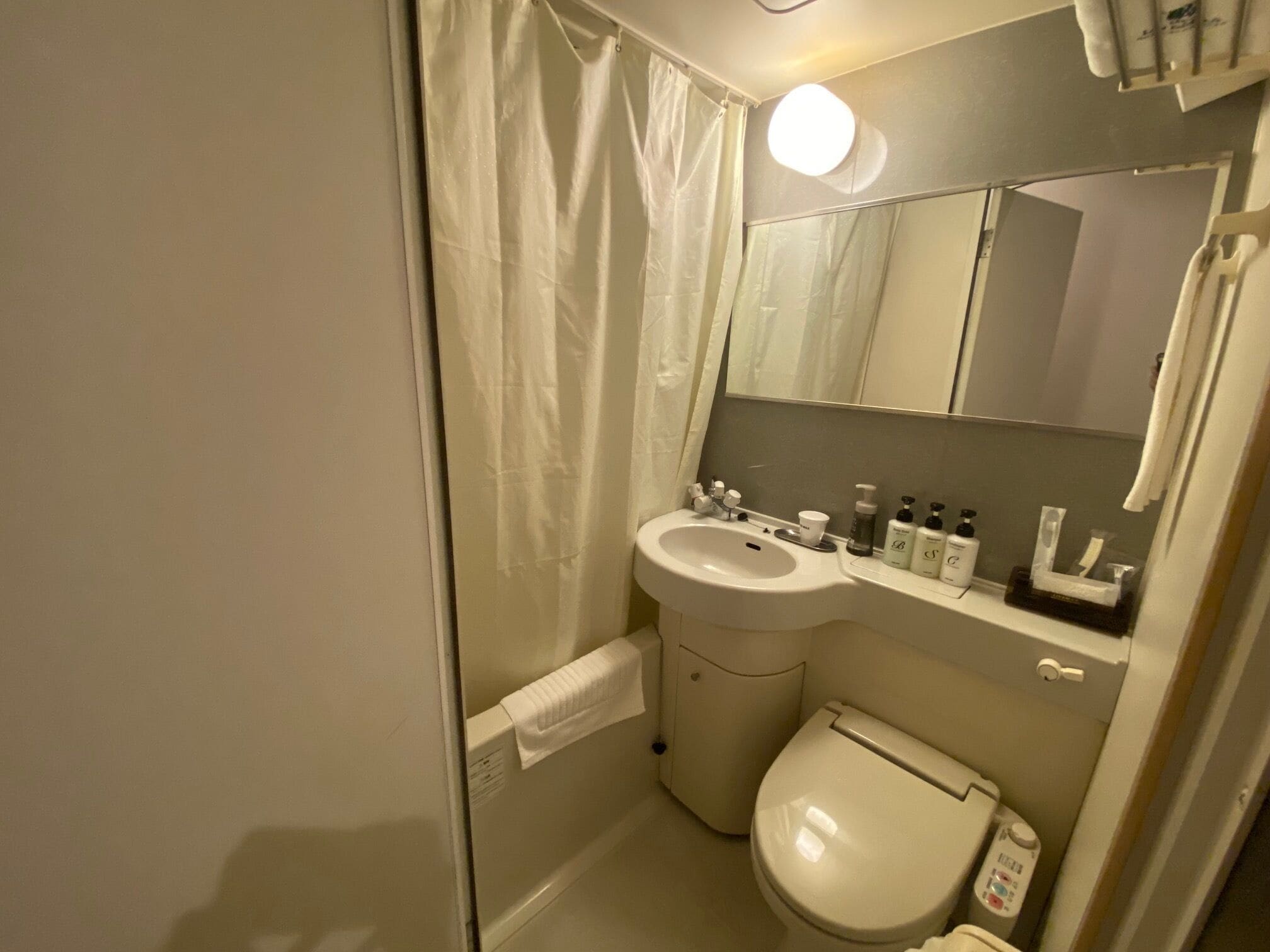 combined shower/bathtub, free toiletries, hair dryer, towels