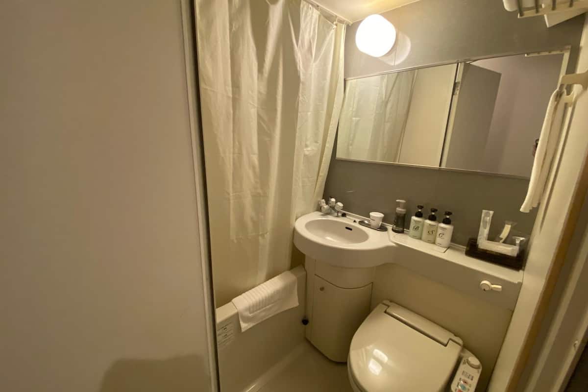 combined shower/bathtub, free toiletries, hair dryer, towels