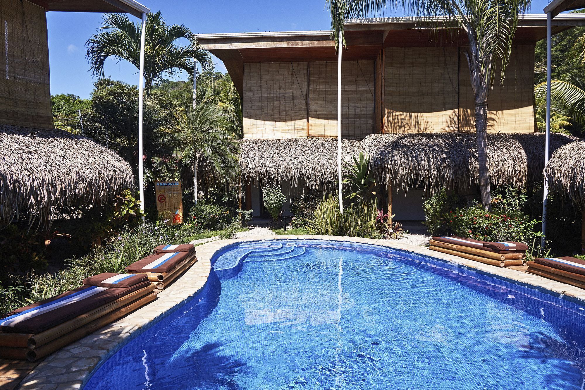 A swimming pool surrounded by thatched umbrellas, palm trees, and a building with a tiled facade.