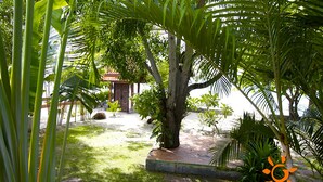 Un giardino tropicale con un sentiero che conduce a un edificio con il tetto rosso.