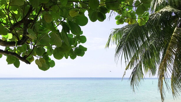 Una spiaggia con acque cristalline turchesi, una riva sabbiosa e palme.