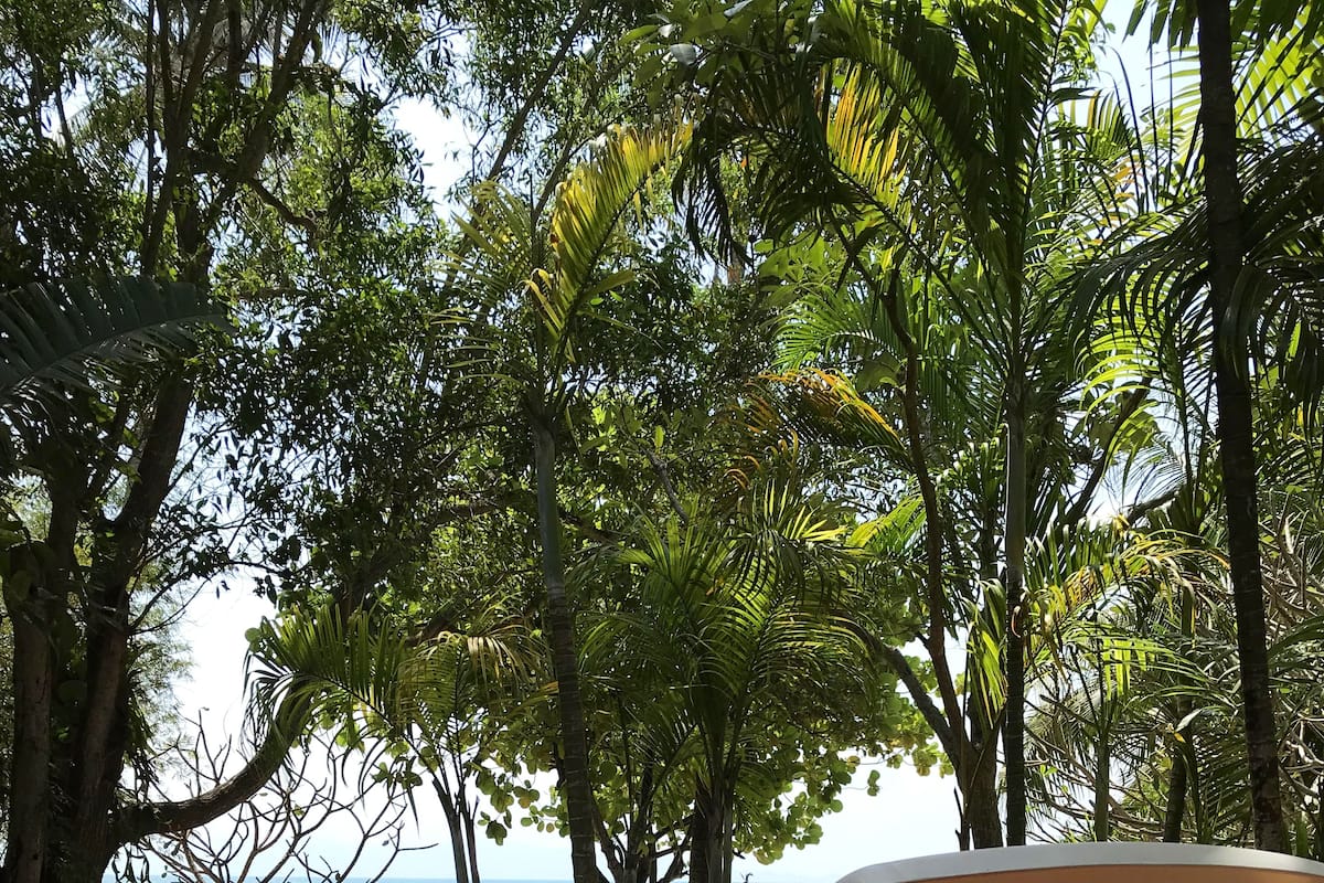 Beach/ocean view
