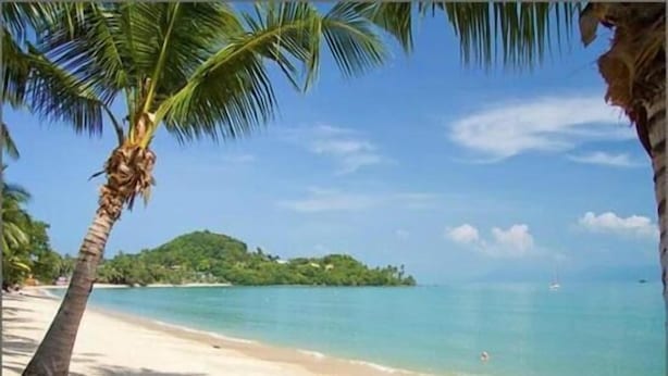 A beach with clear turquoise water, a sandy shore, and a palm tree. - Cocooning Hotel (Koh Samui)