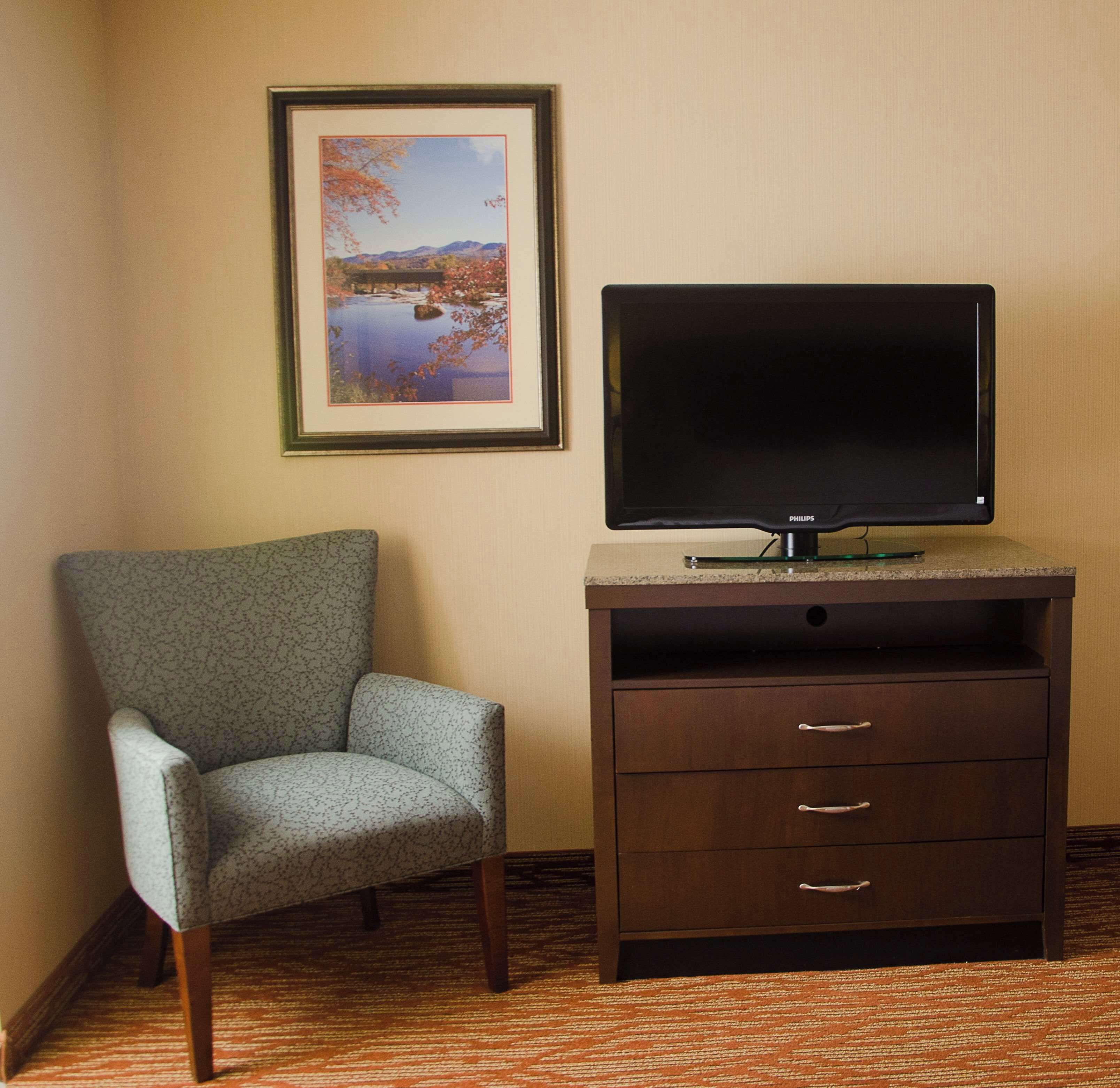A room with a framed landscape painting, a television on a wooden stand, a patterned armchair, and a carpeted floor.