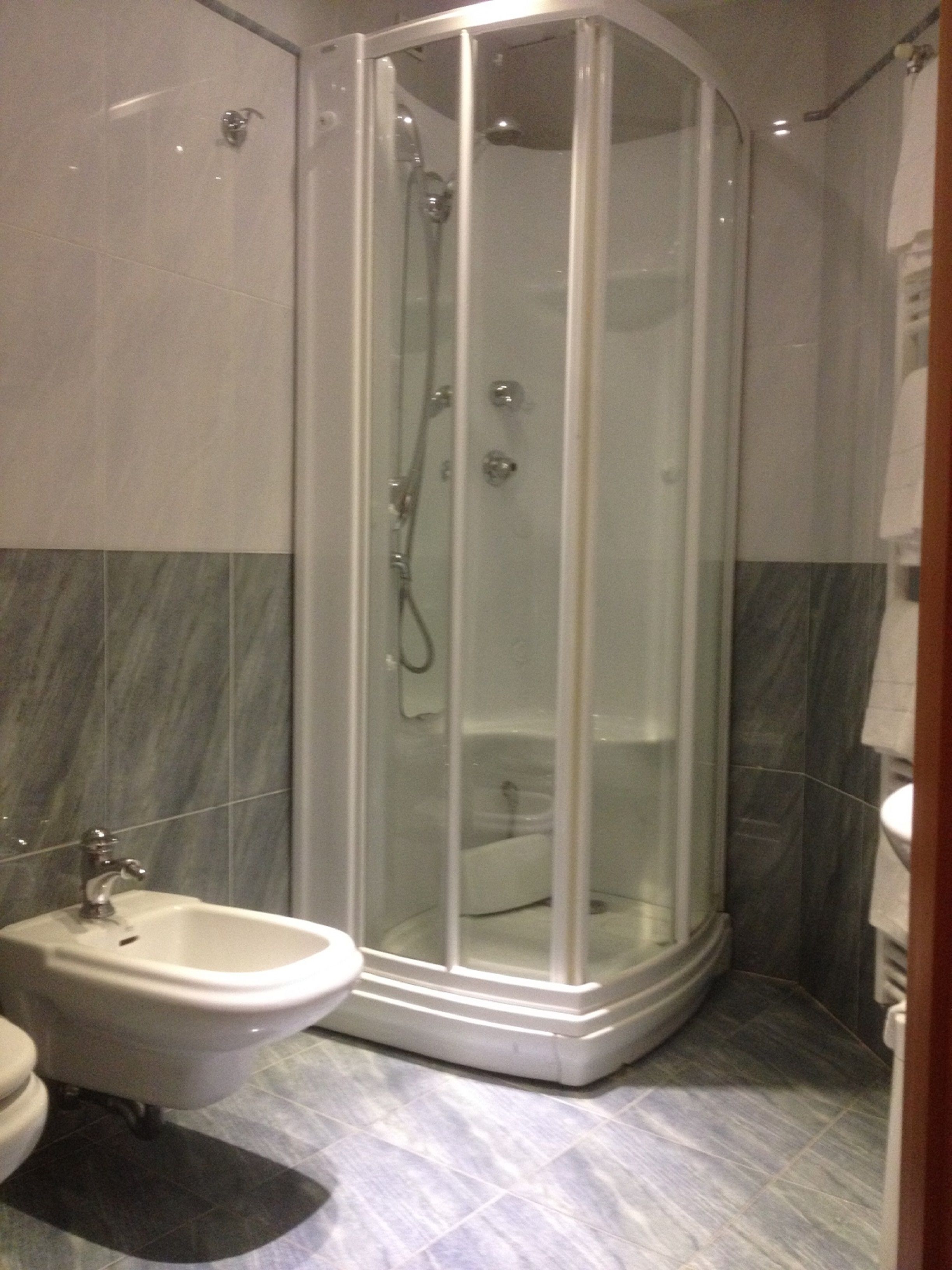 shower, free toiletries, hair dryer, bidet