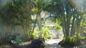 A tropical garden with palm trees, a paved walkway, and a building in the background. - Le Lavandou Holiday Apartments (Broadbeach)