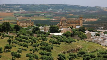 A historic building with a prominent tower, surrounded by olive groves and vineyards.
