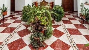 A spacious hallway with a checkered floor, arched doorways, and potted plants. - Hotel El Molino (Osuna)