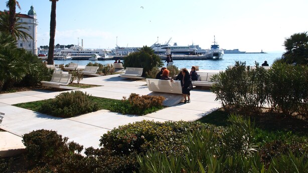 A marina with boats, palm trees, and people relaxing on benches.