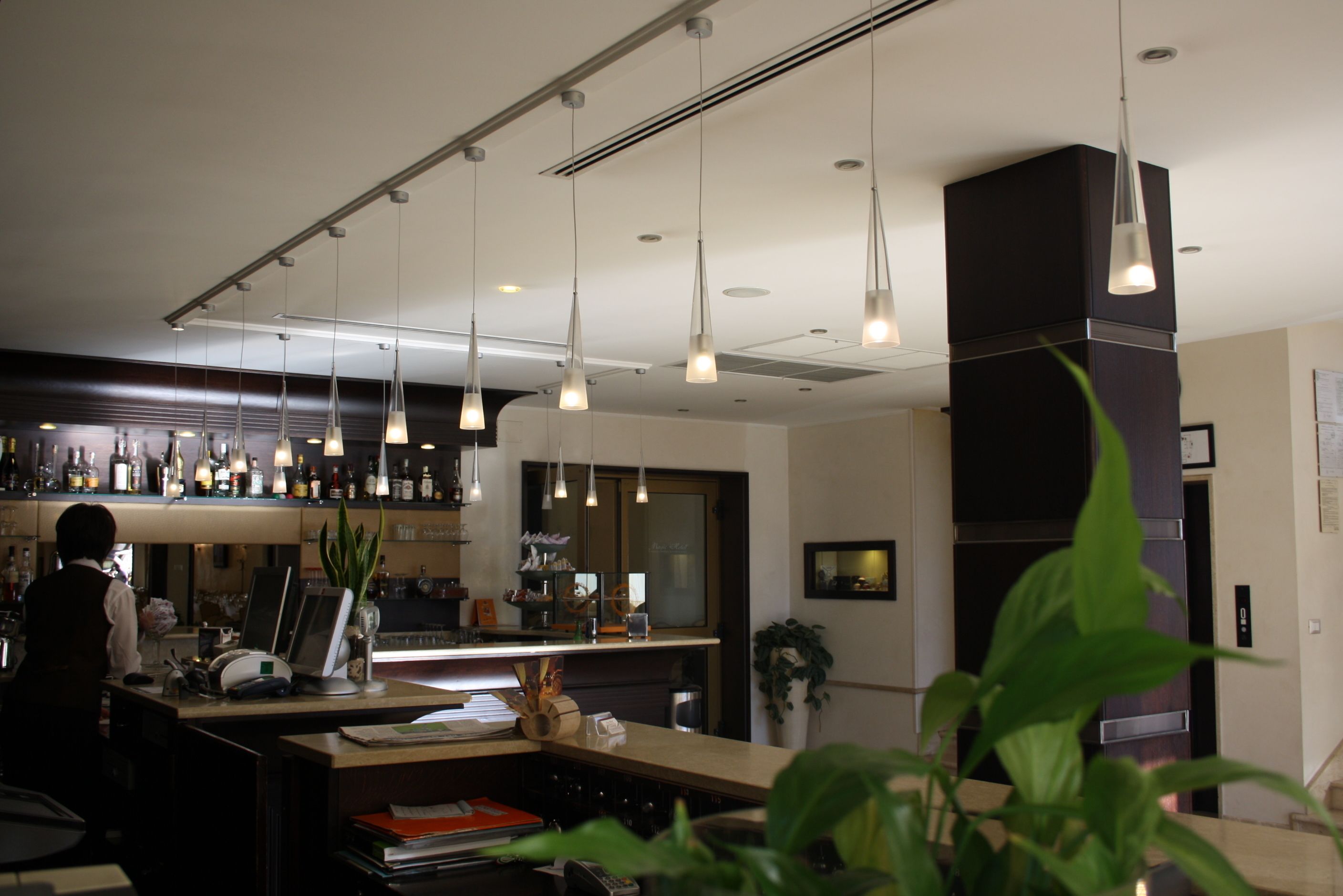Bar (en la propiedad)