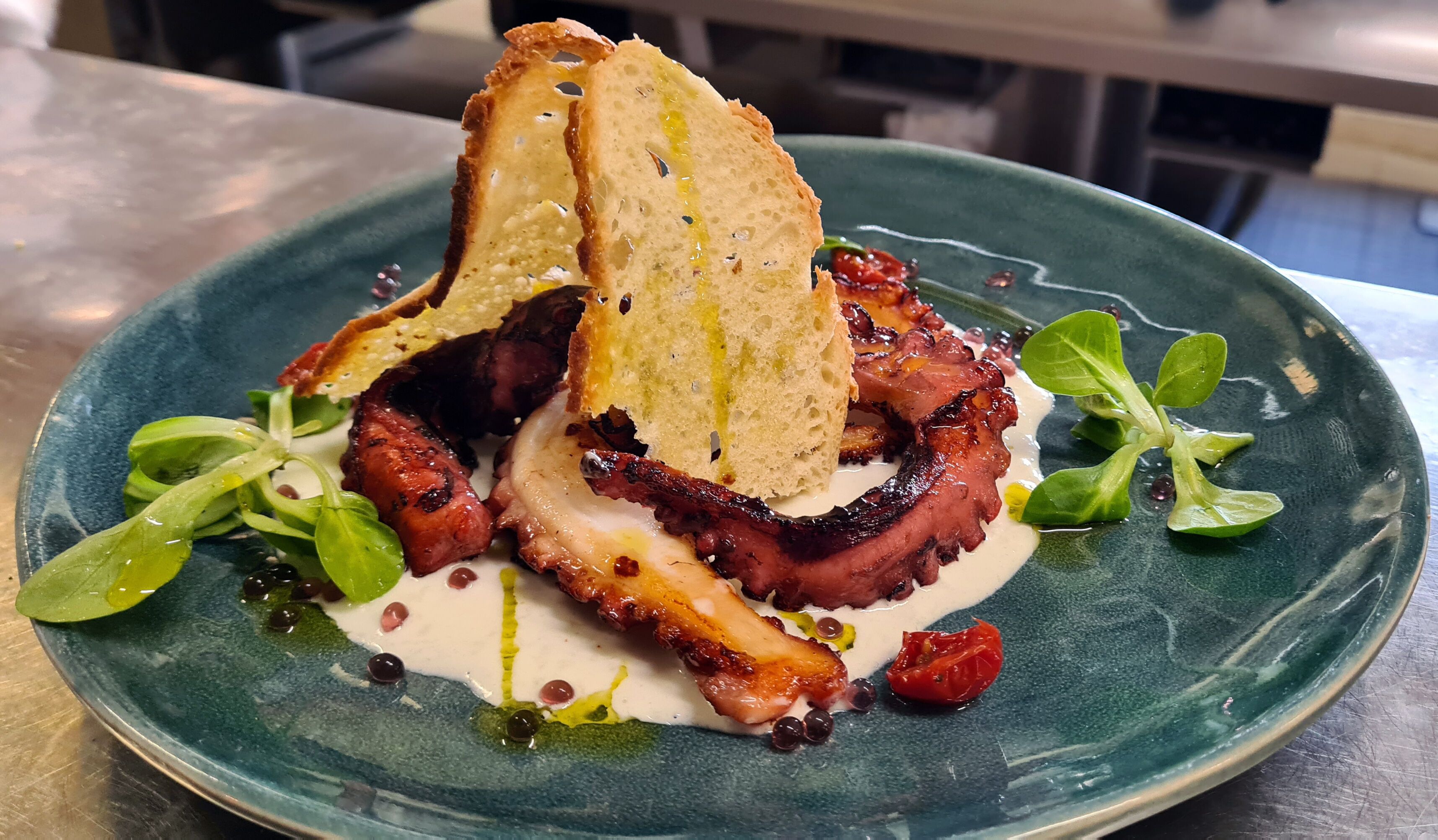 A plate with grilled octopus, toasted bread, and greens.