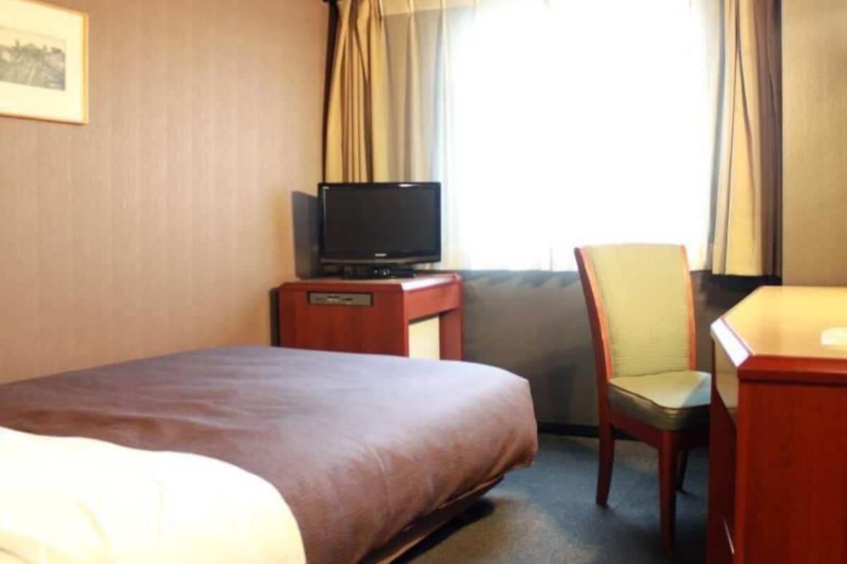 Una habitación de hotel con una cama, un televisor sobre un soporte de madera, una silla y un escritorio.
