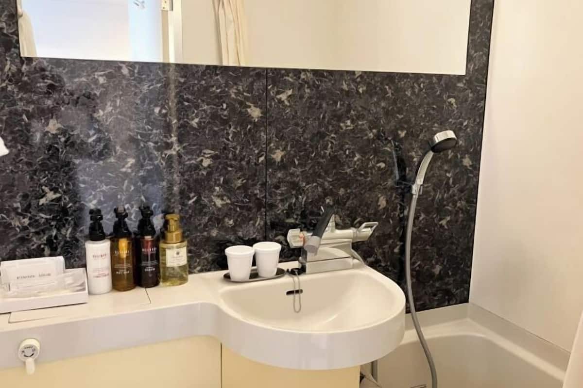 Combined shower/bathtub, deep-soaking bathtub, free toiletries