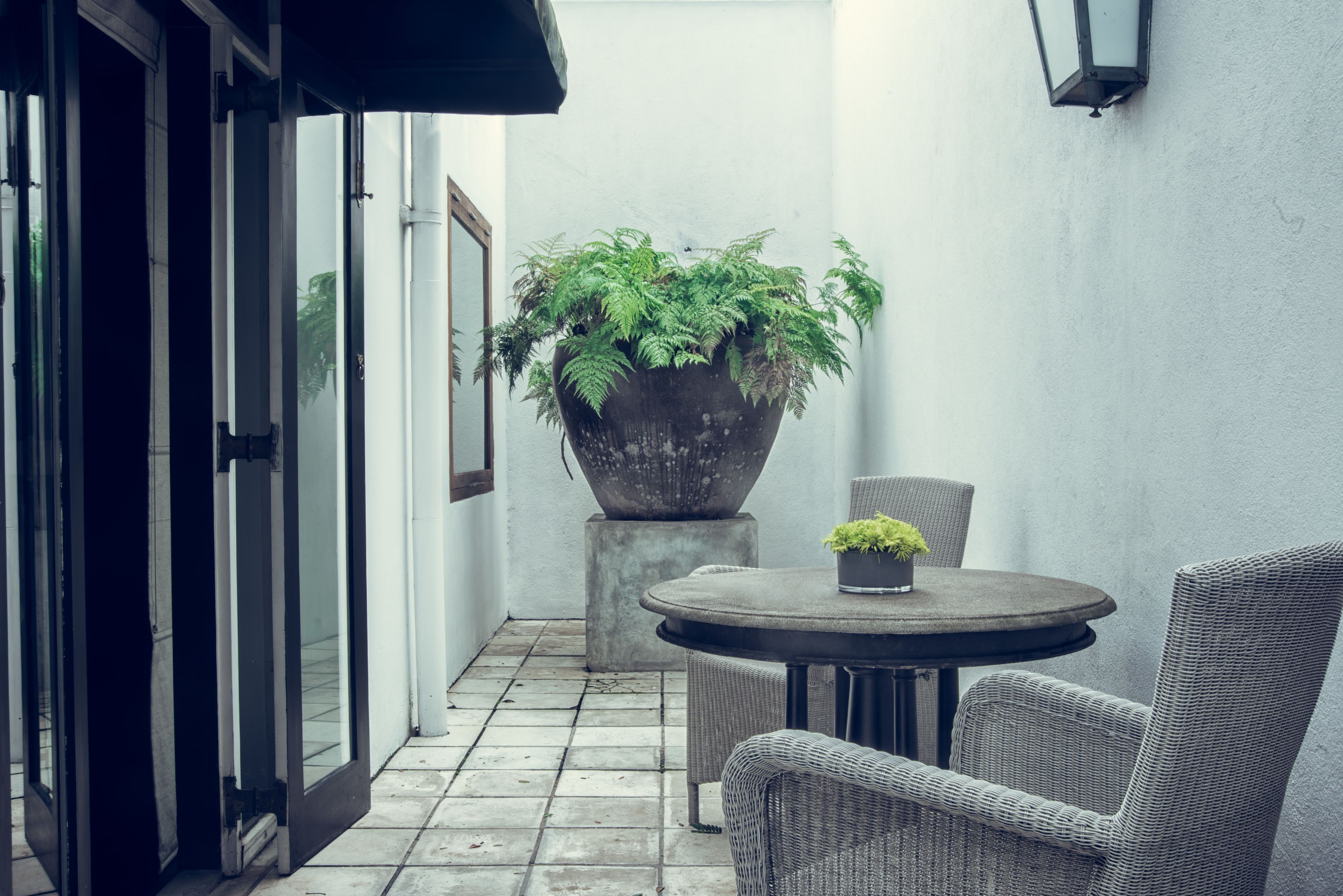 A small patio with a round table and wicker chairs, a large potted plant, and a wall-mounted lantern.
