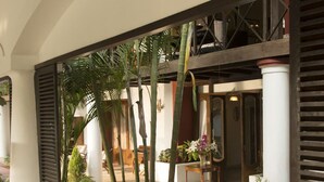 A modern indoor garden with tropical plants, a wooden table with a vase of flowers, and a view of the interior space. - Casa Britona (Alto de Porvorim)