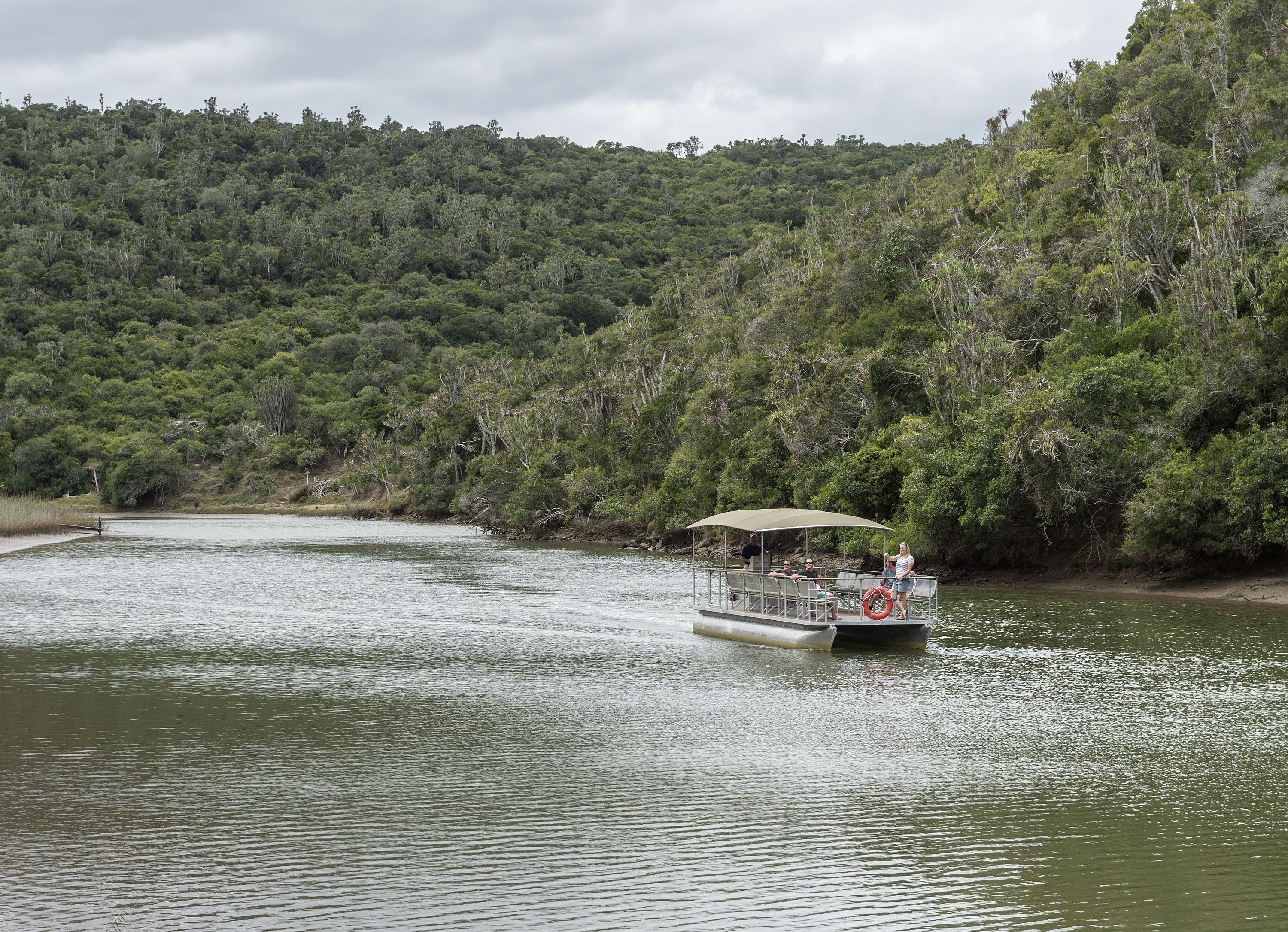 A boat with a canopy and life preserver on a calm river surrounded by dense forest.