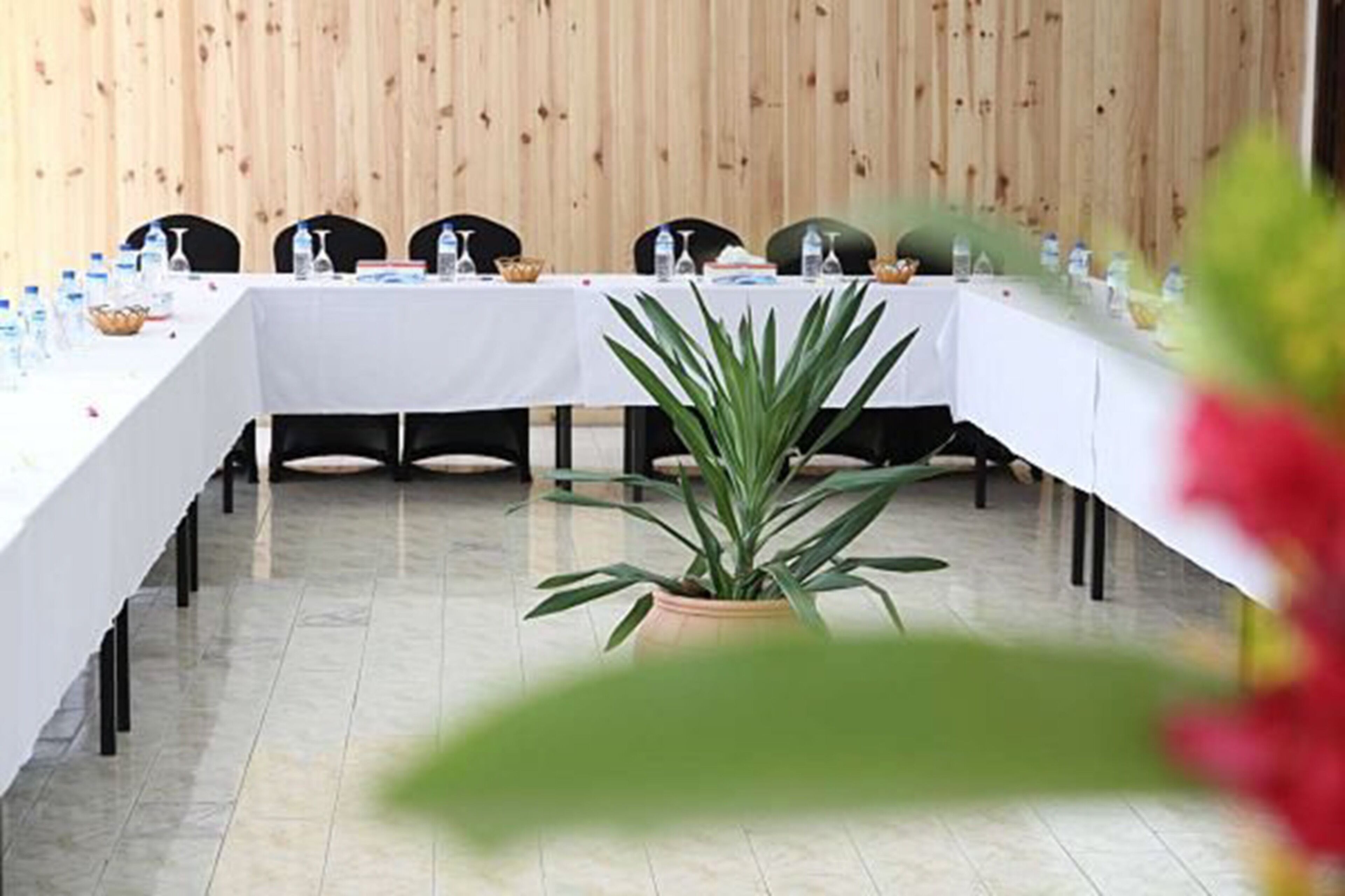 A conference room with a long table, chairs, and a potted plant.