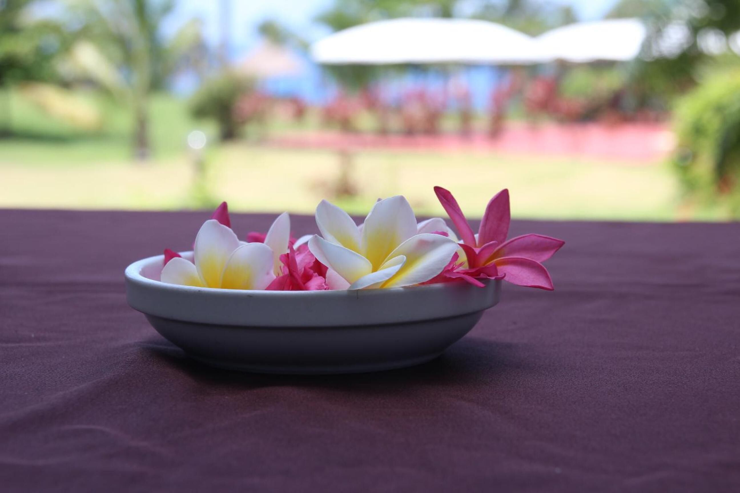 A bowl of flowers on a table with a blurred outdoor background.