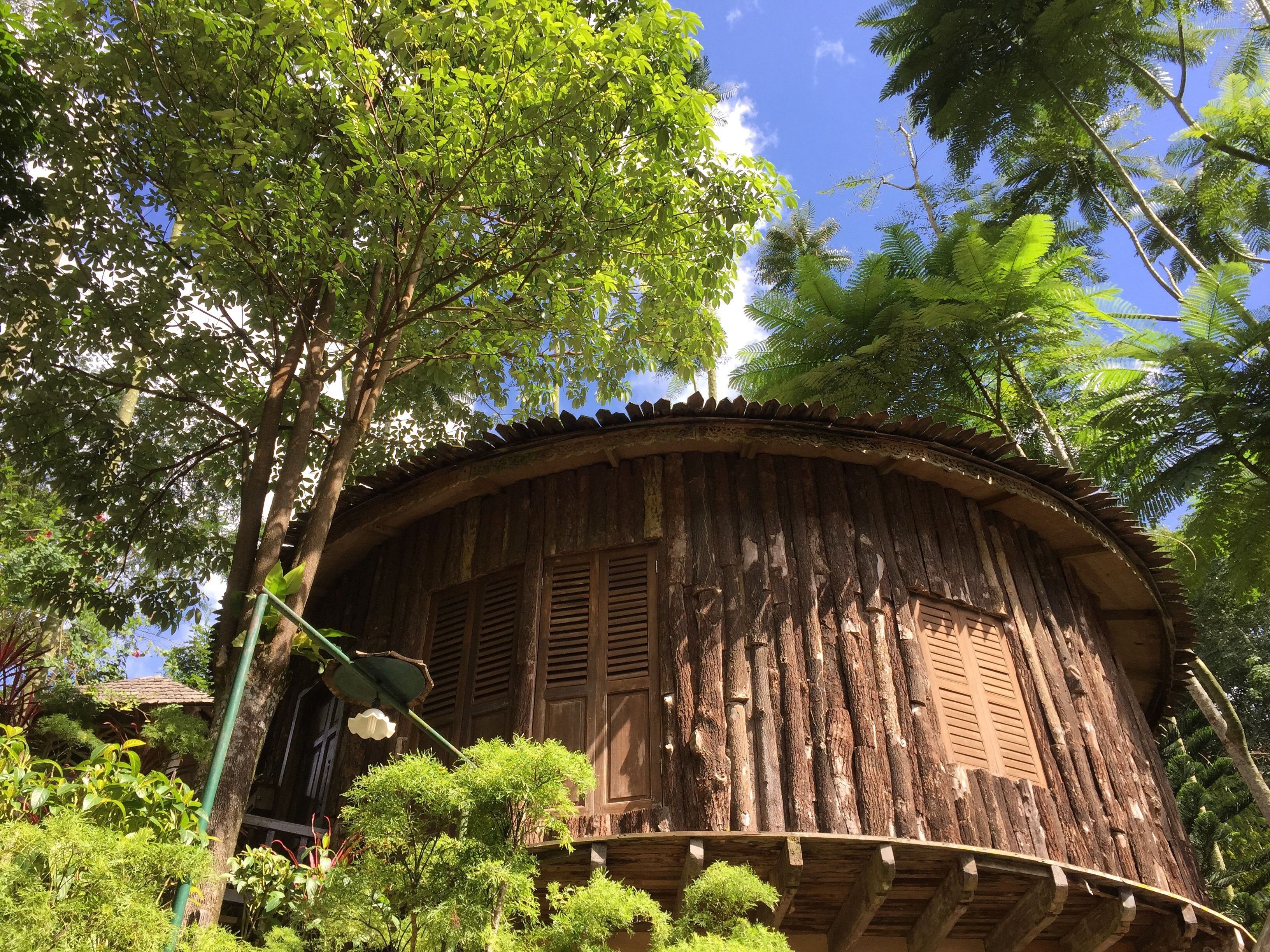 A rustic wooden structure with a curved roof, surrounded by lush greenery and trees.