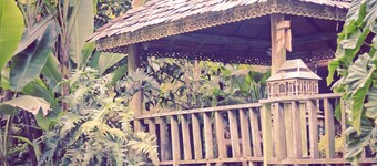 Fig Tree Hill Resort