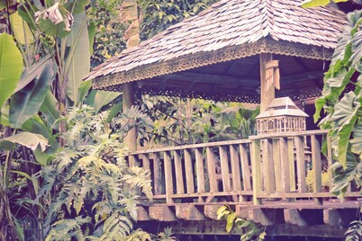 Fig Tree Hill Resort
