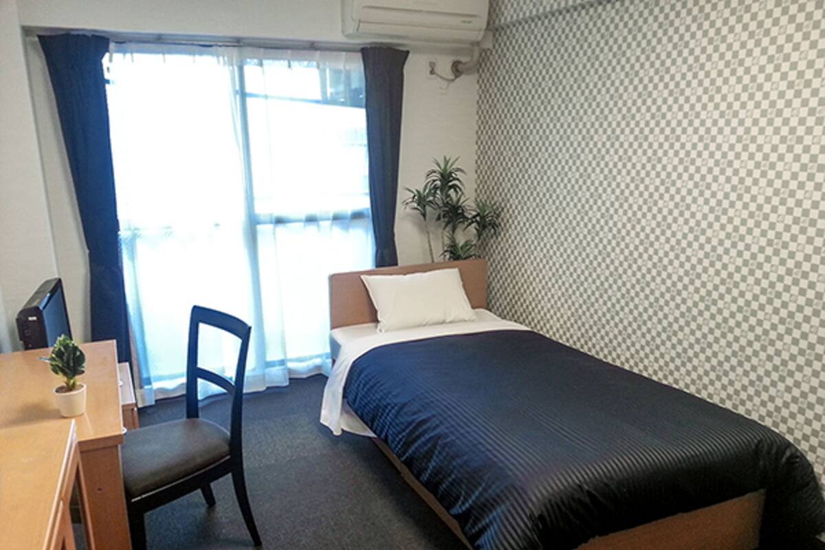 A hotel room with a bed, a desk, a chair, a potted plant, and a window with curtains.