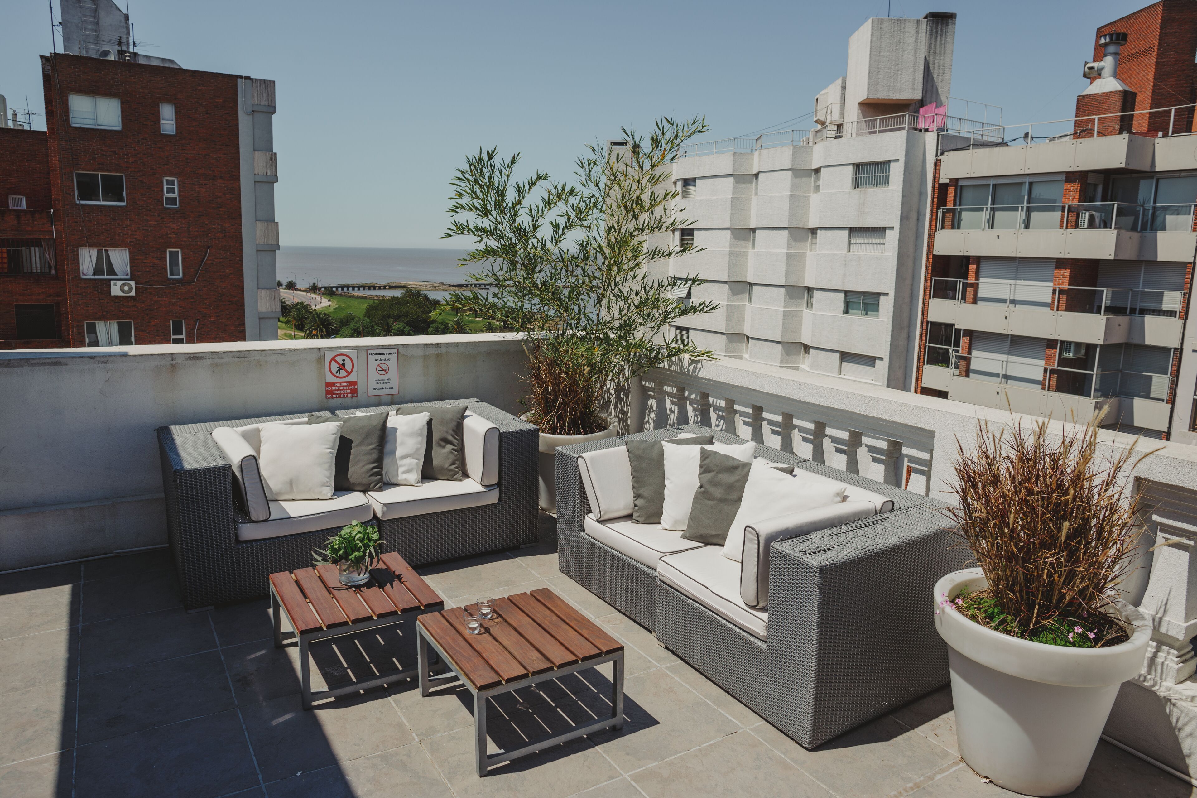 Una terraza en la azotea con mobiliario de mimbre, una planta en maceta y vistas panorámicas de la ciudad.