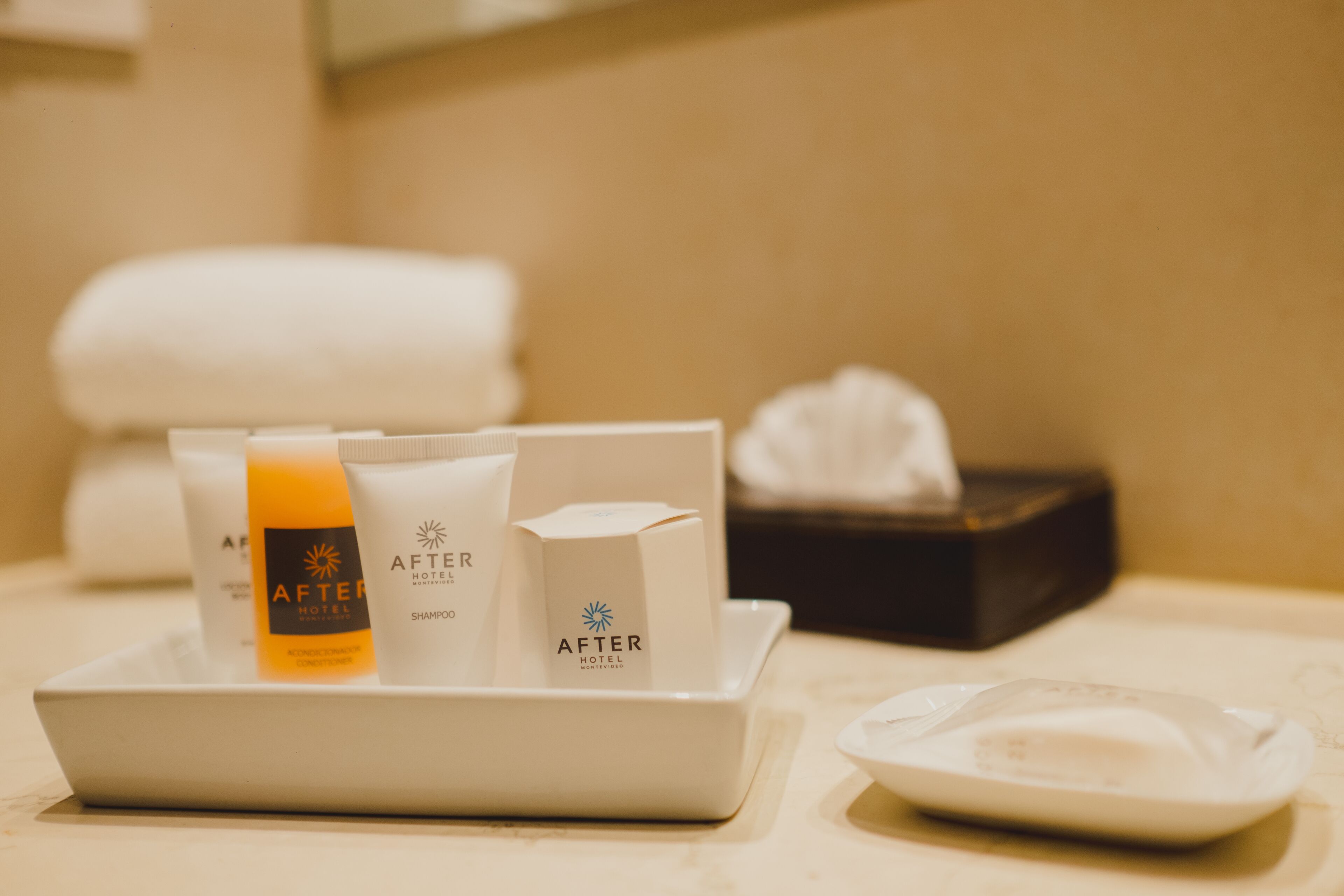 bathtub, free toiletries, hair dryer, bidet