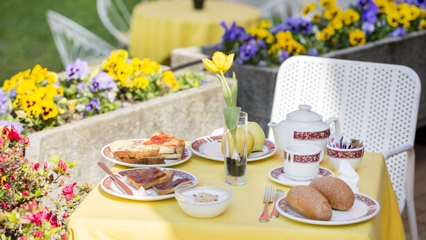 Una mesa de comedor al aire libre con mantel amarillo, platos de comida, un calentador de agua, tazas y un florero con una flor.