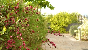A stone pathway leading through a garden with dense foliage and flowering plants. - Ellopia Point Hotel (Ioannina)
