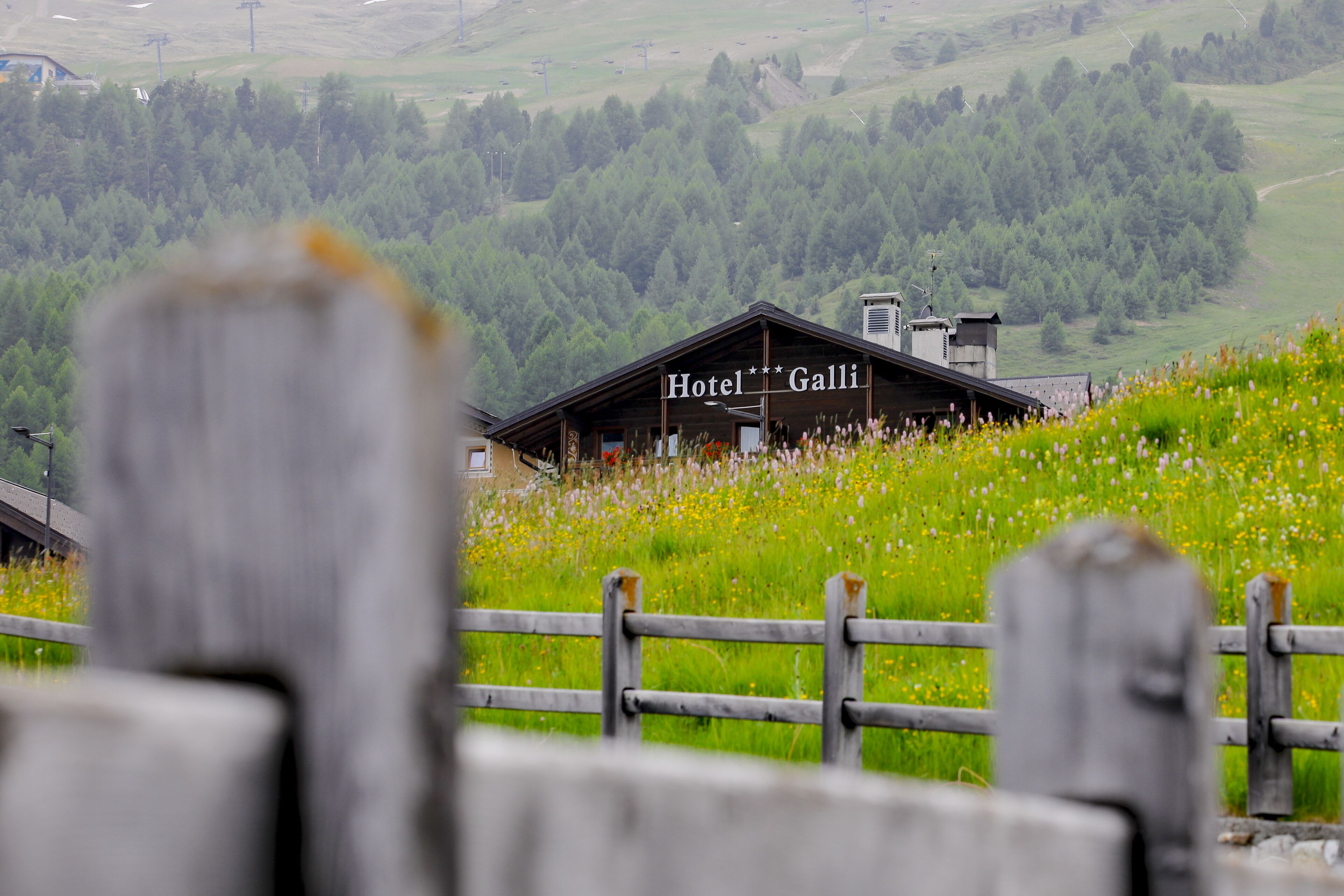 A wooden fence with a sign that reads "Hotel Galli."