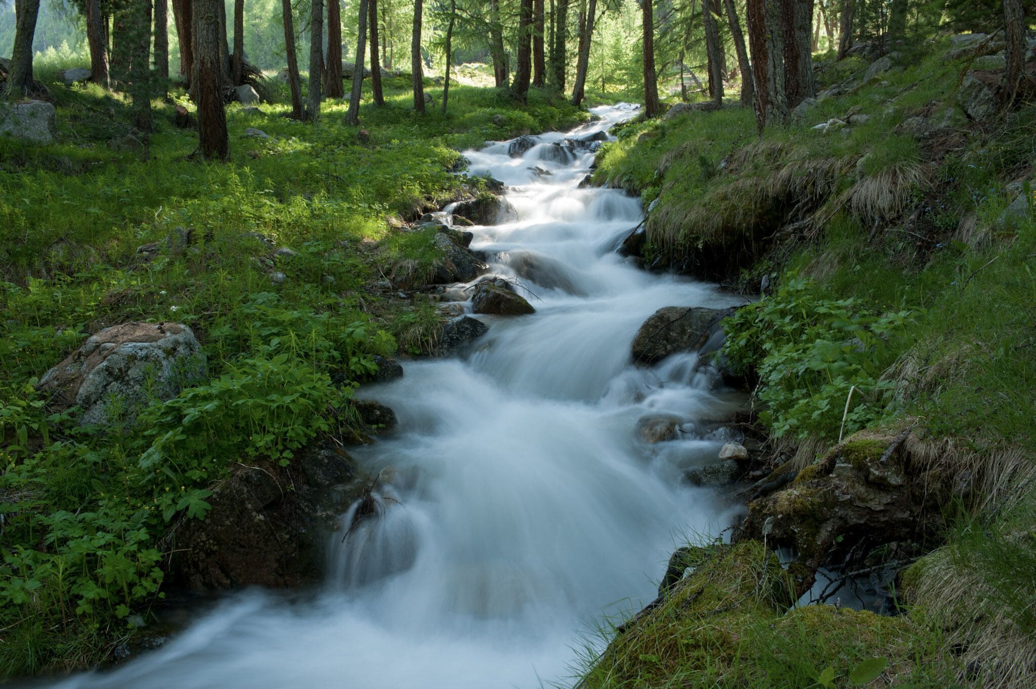Ein natürlicher Bach fließt durch ein bewaldetes Gebiet mit Felsen und viel Grün.