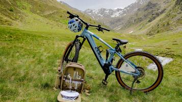A mountain bike in a grassy field with a backpack and gear bag nearby.