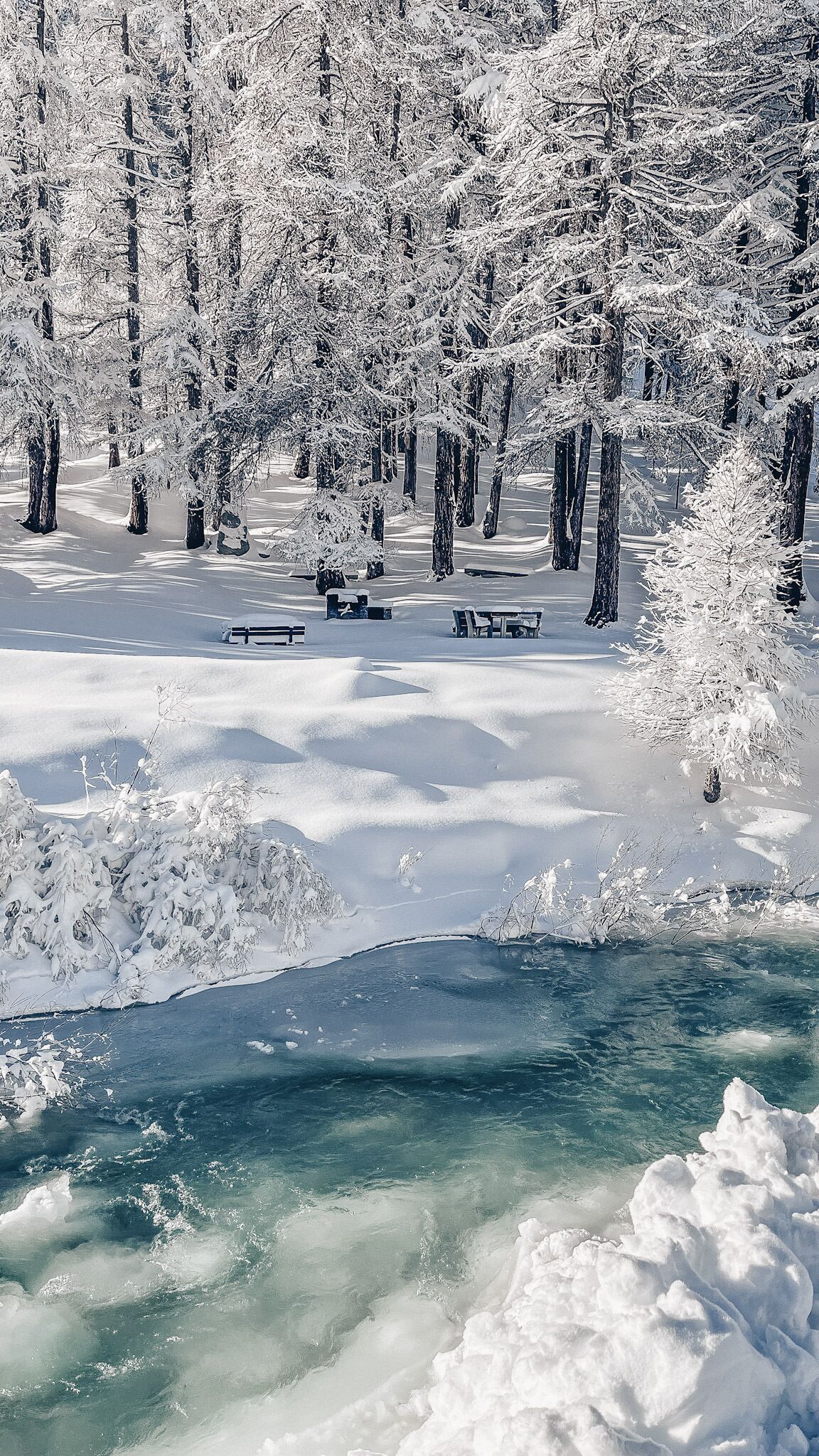 Un bosque nevado con un río helado y bancos.