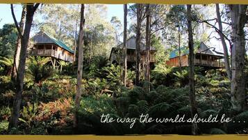 Coffres-forts dans les chambres, bureau, rideaux occultants