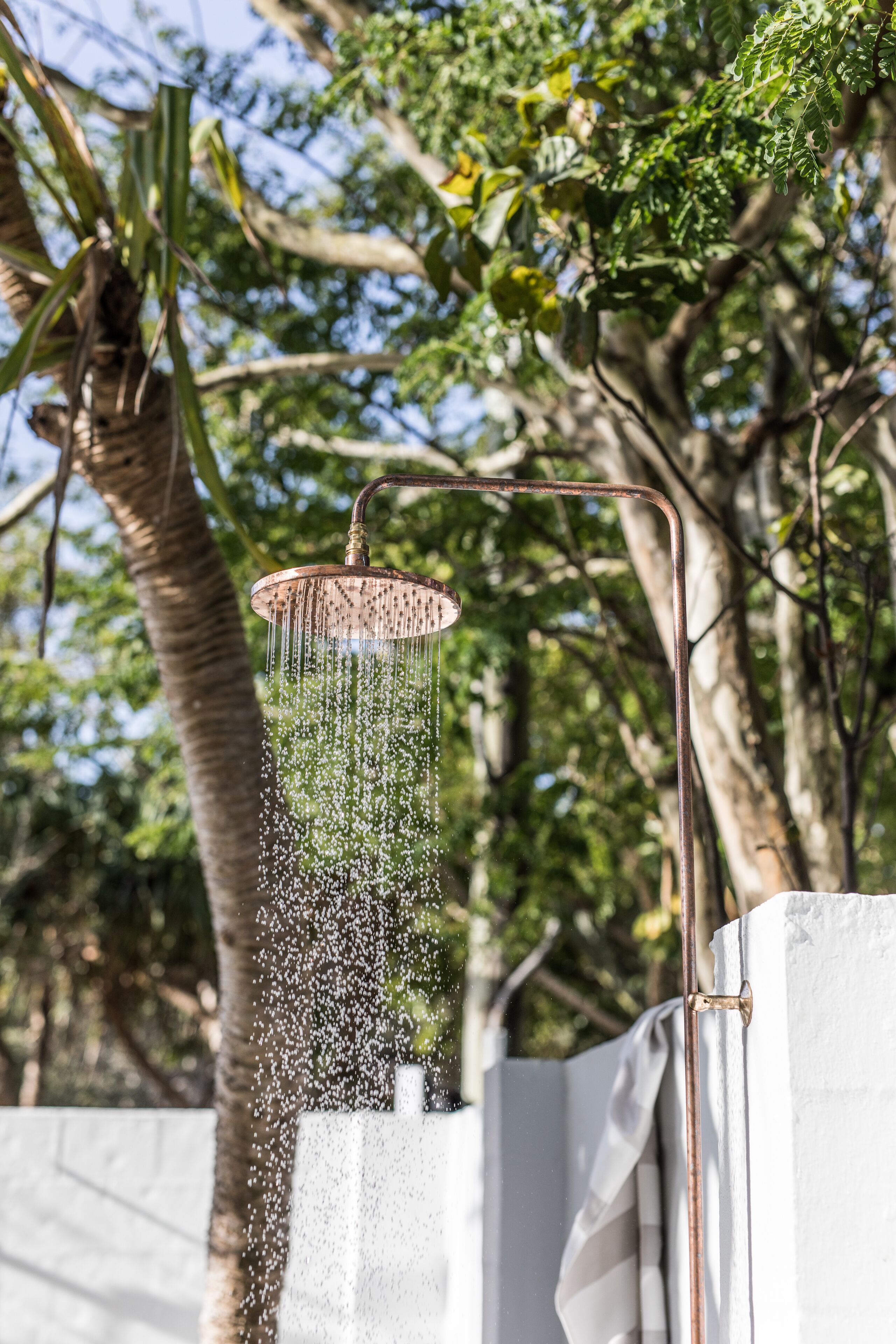A showerhead with water spraying down, surrounded by greenery.
