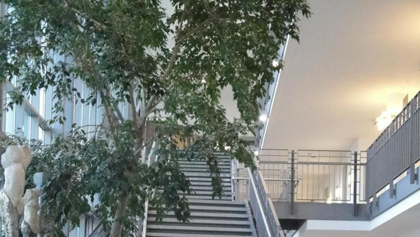 A modern lobby with a glass table, a potted plant, and a staircase. - Akademiehotel Dresden (Dresden)