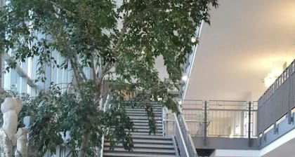 Akademiehotel Dresden